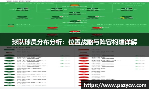 球队球员分布分析：位置战略与阵容构建详解